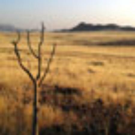 Grand Durga Restaurant